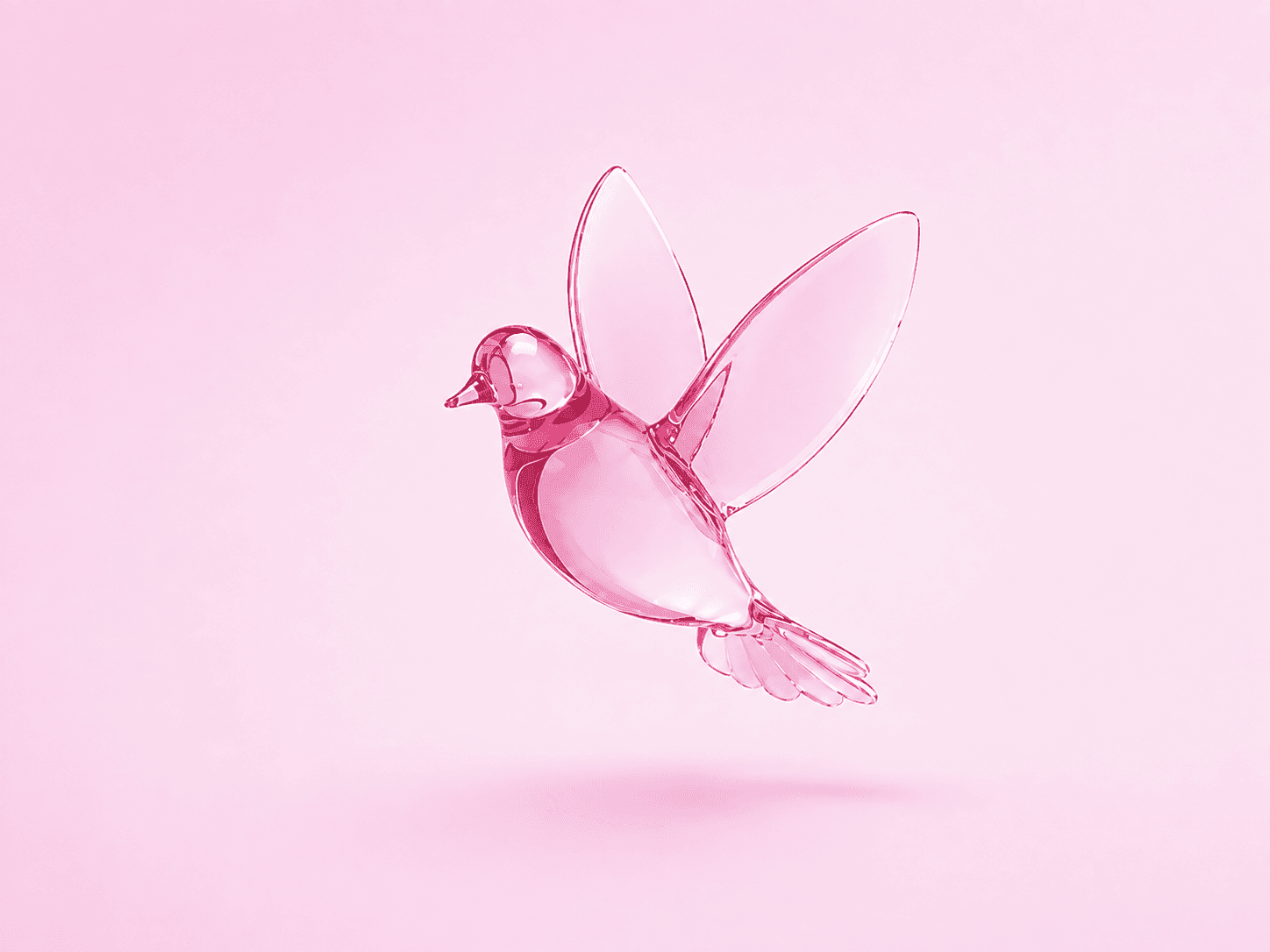 Silvana Book Early Bird Onboarding Launch